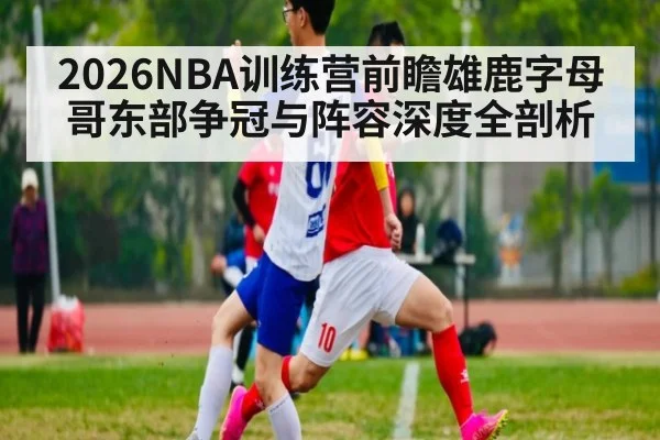 2026NBA训练营前瞻雄鹿字母哥东部争冠与阵容深度全剖析